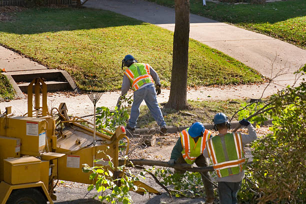 Best Soil Testing and Treatment  in Langley, WA